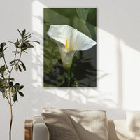 AC-050W075