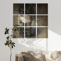 LW-270Z270