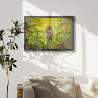 LWB060W040