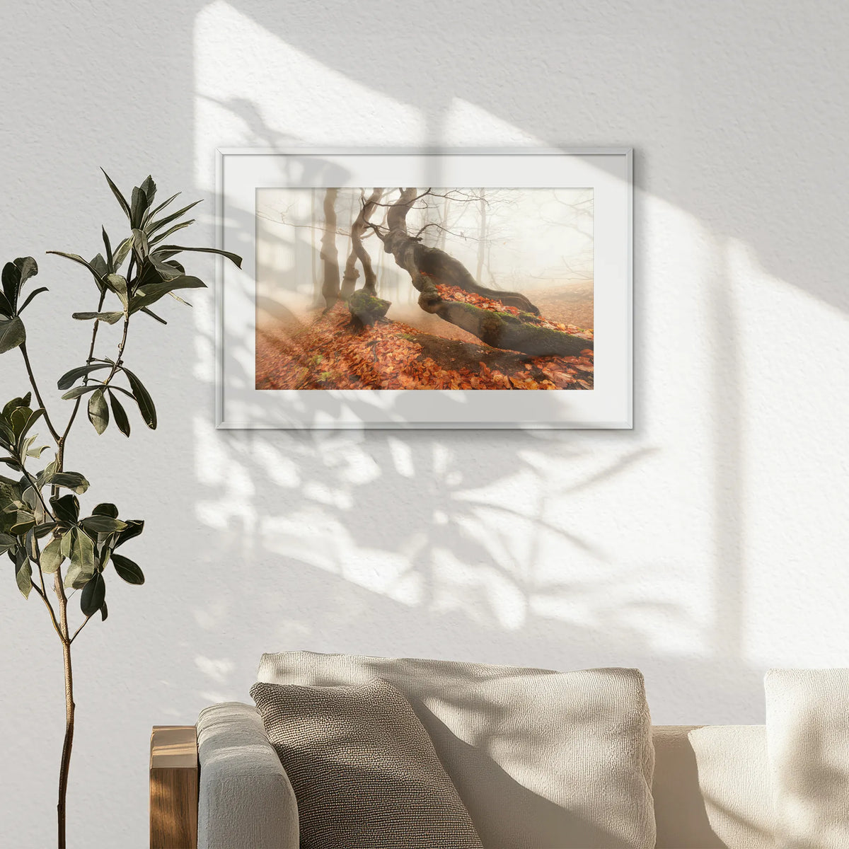 PSP060W040