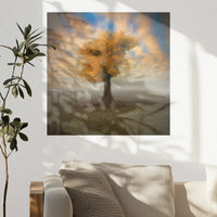 PO-040W040