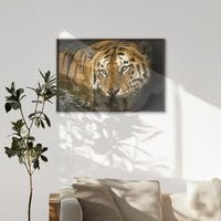 LWN120W080