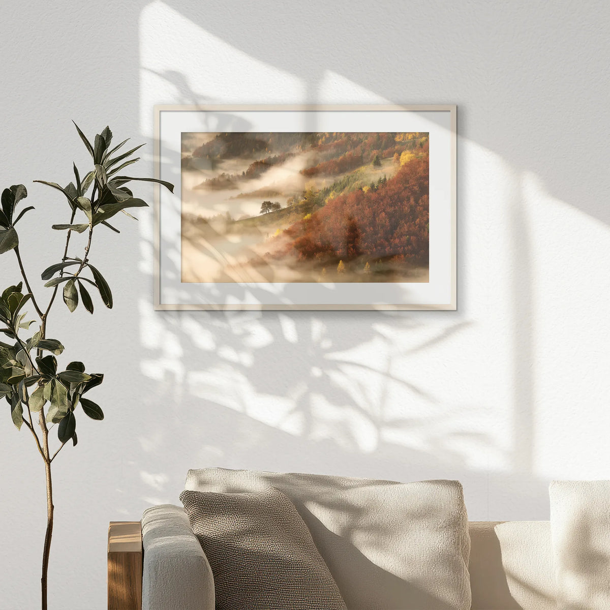 PNP093W062
