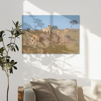 AL-090W060