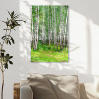 AC-030W045