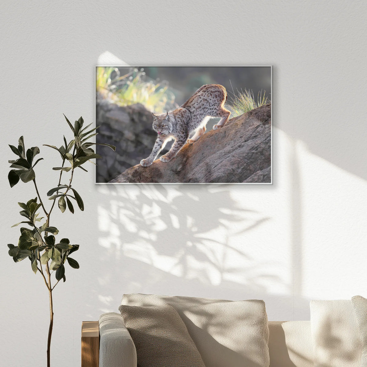 PS-100W070