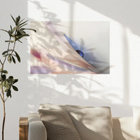 PO-045W030