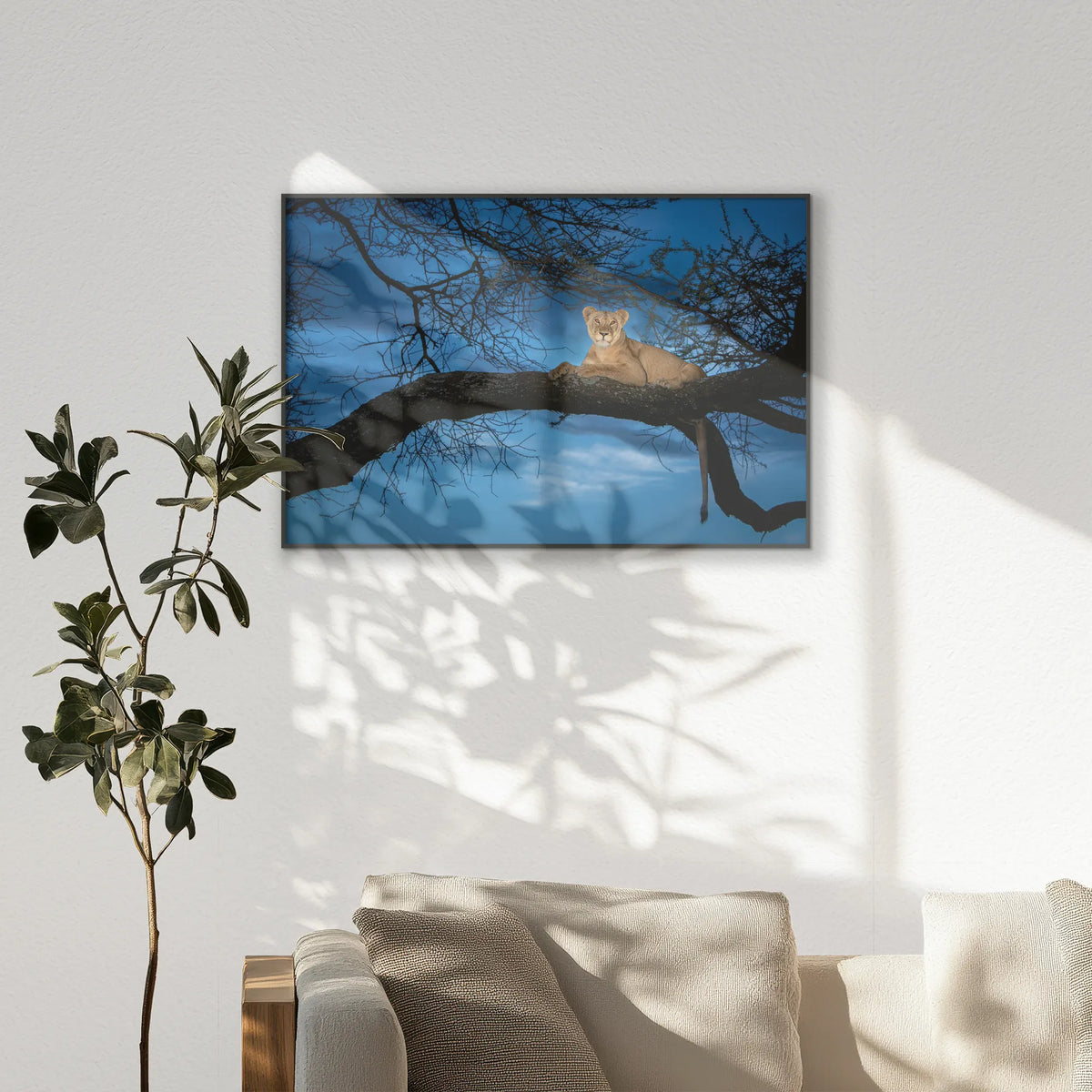 PB-100W070
