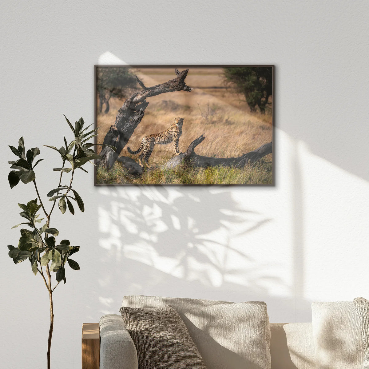 LWN120W080