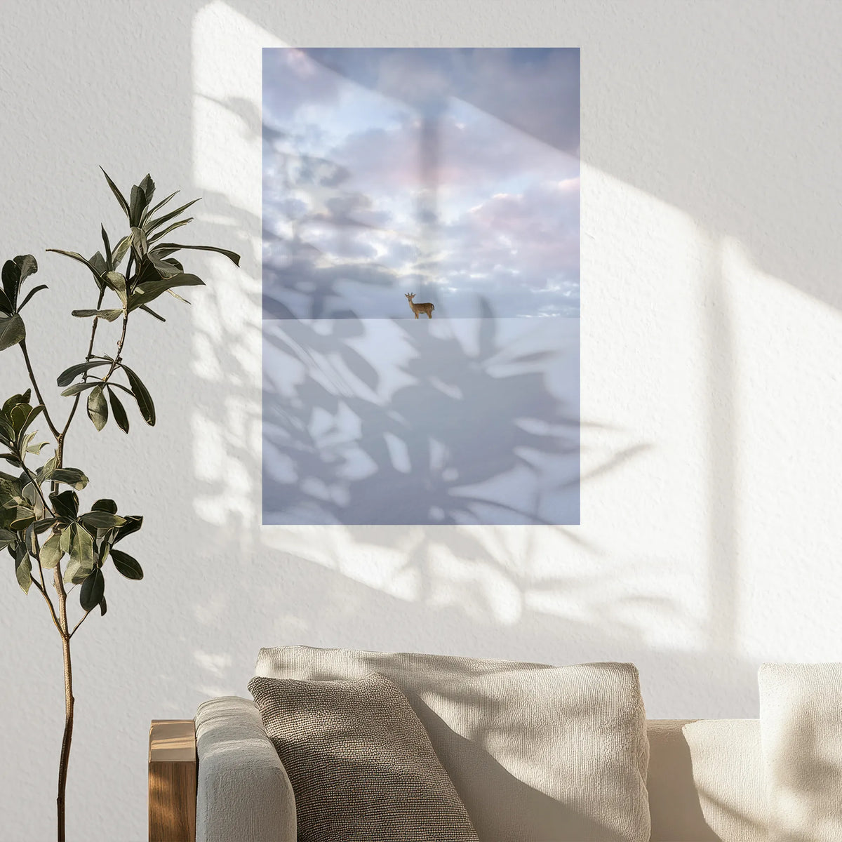 PO-050W075