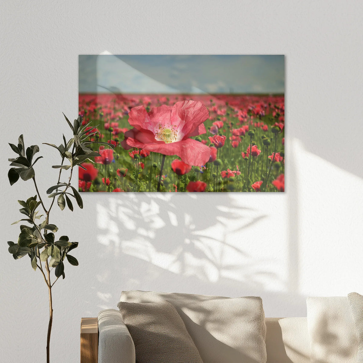 AL-120W080