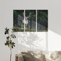 AC-150R100