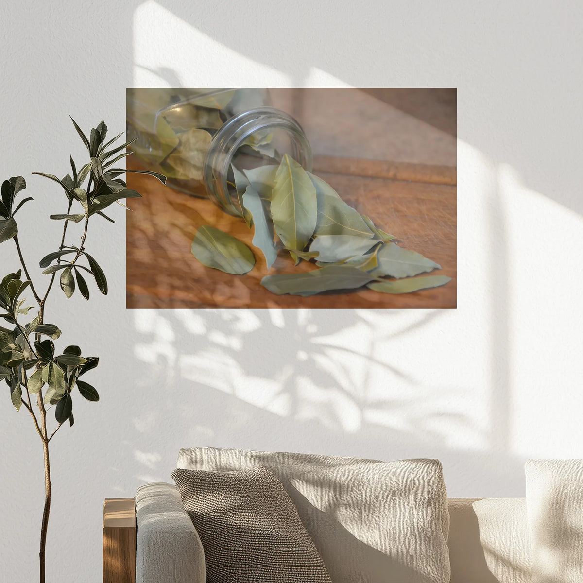 PO-075W050
