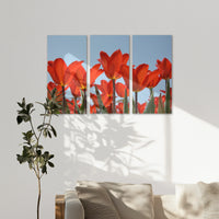 AC-150R100