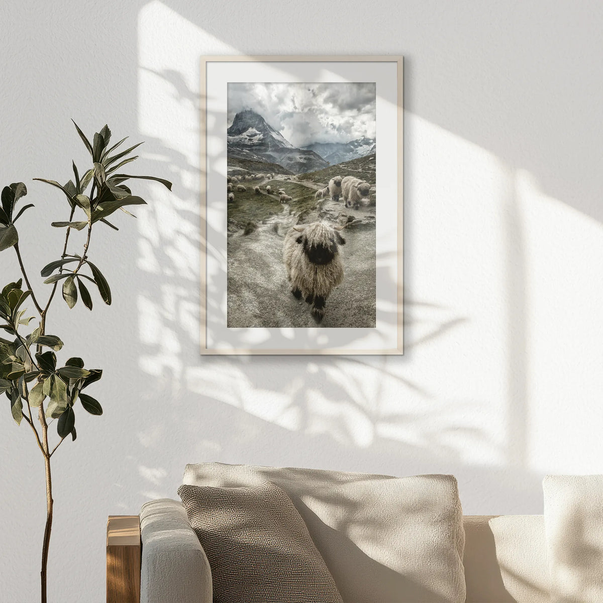 PNP062W093