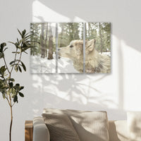 AC-060R040
