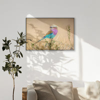 PB-120W080