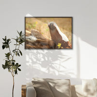 LWN100W070