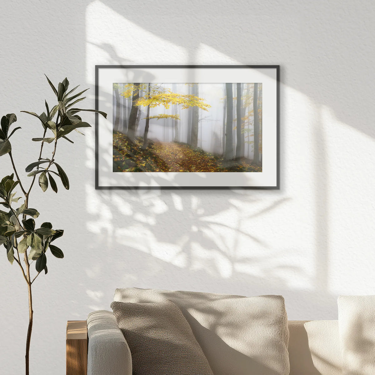 PBP060W040