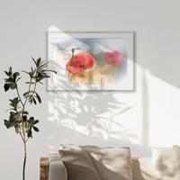 PSP100W070