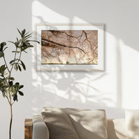 PNP093W062