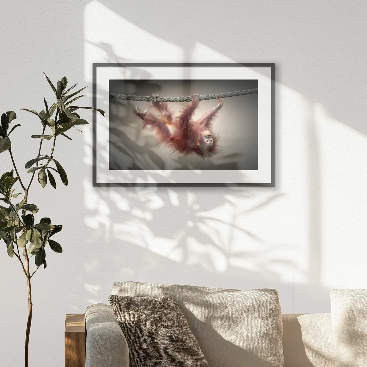 PKP093W062
