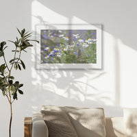 PSP093W062