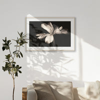 PNP100W070