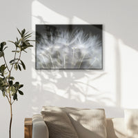 PB-093W062