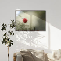 LWN100W070