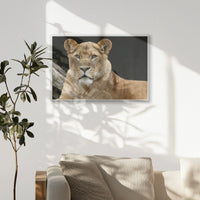 PS-093W062