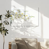 AL-075W050