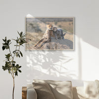 PN-100W070