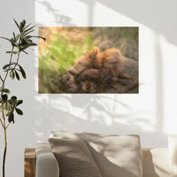 PO-045W030