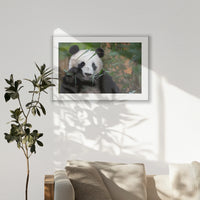 PSP100W070