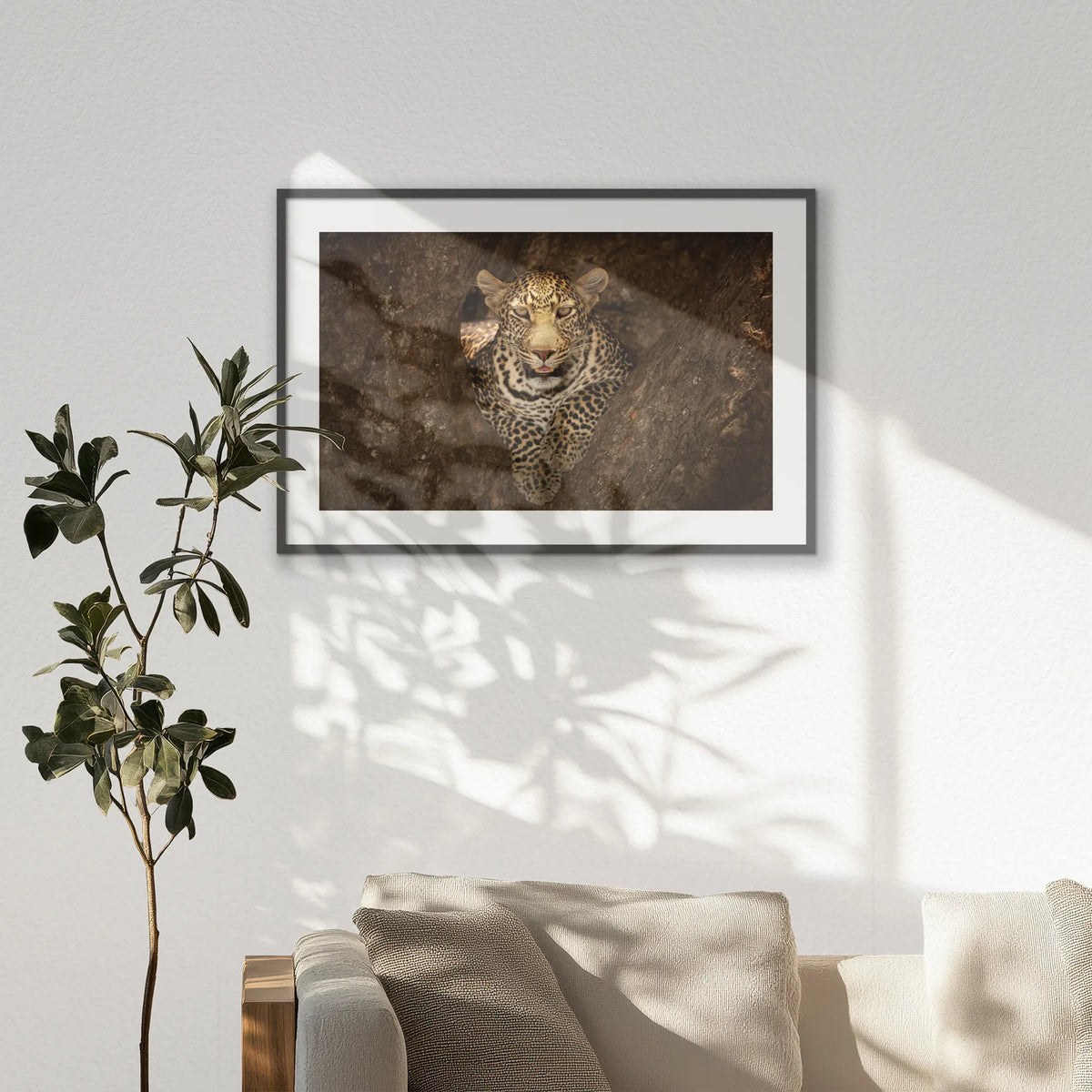 PKP100W070