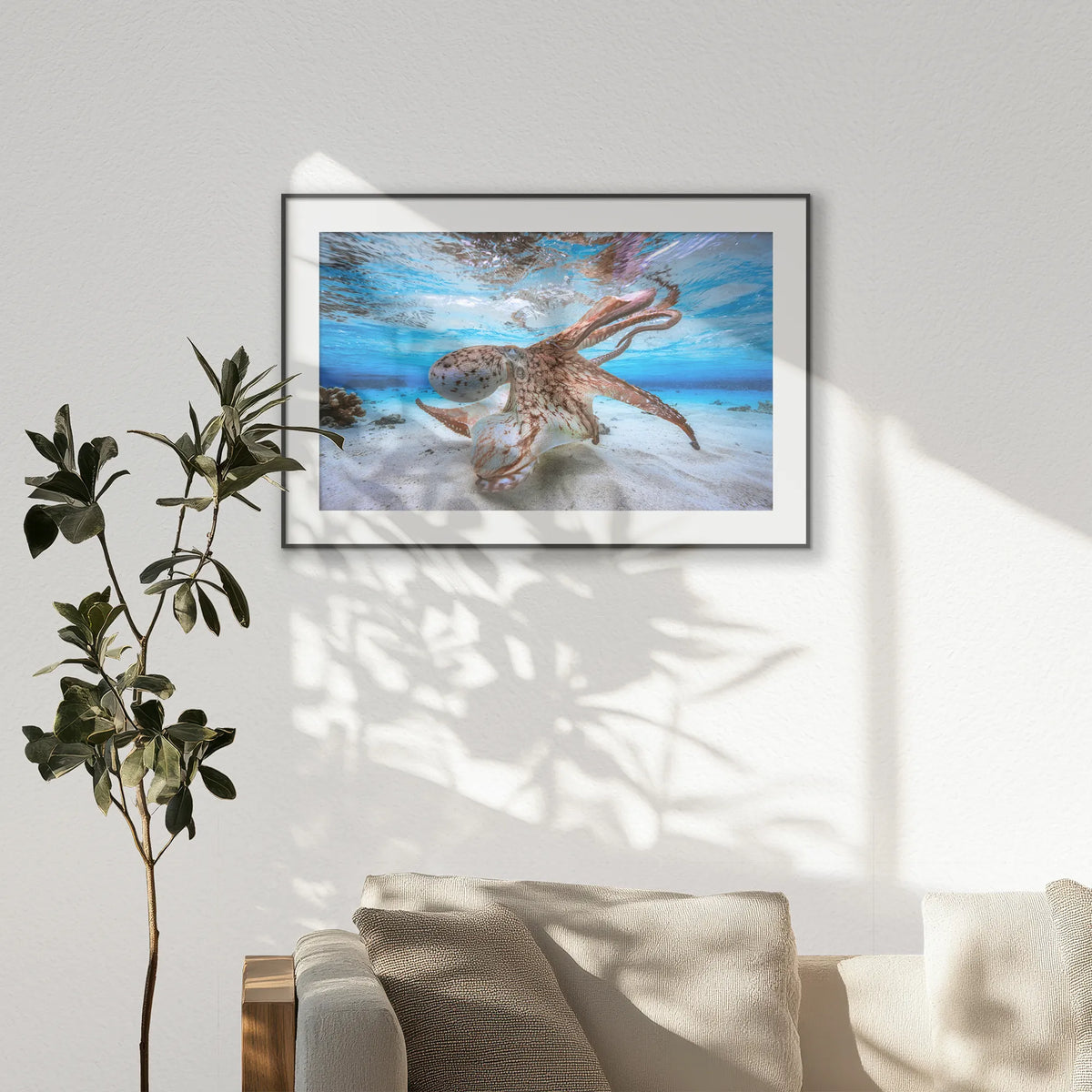 PBP120W080