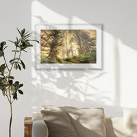 PSP093W062