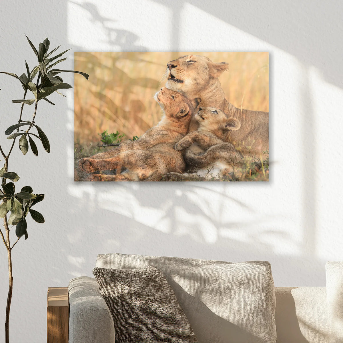 AL-030W020