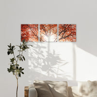 LW-240S080
