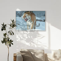 PS-120W080