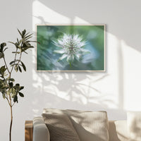 PN-093W062