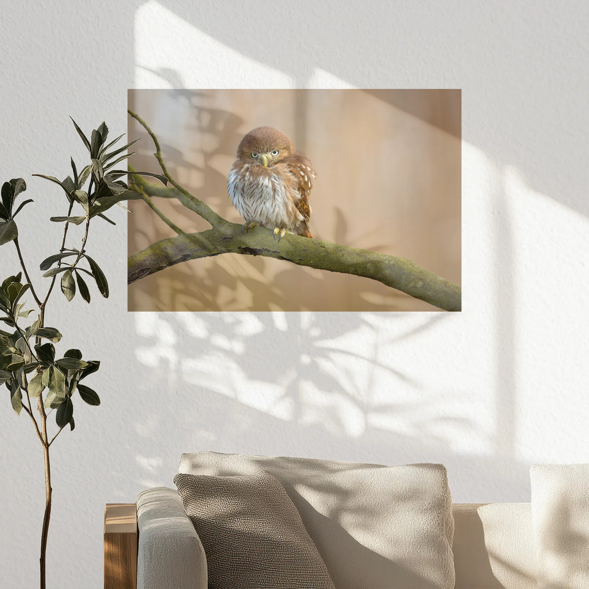 PO-060W040