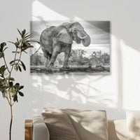 AC-060W040