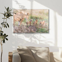 LW-045W030