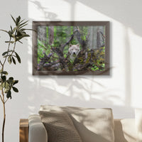 LWN030W020