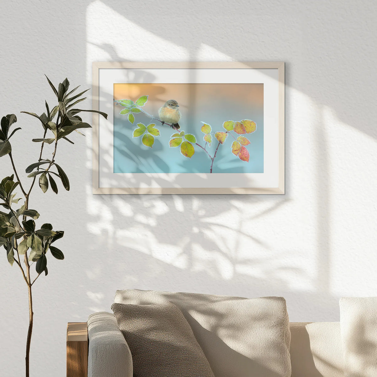 PNP060W040