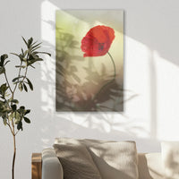 AL-050W075