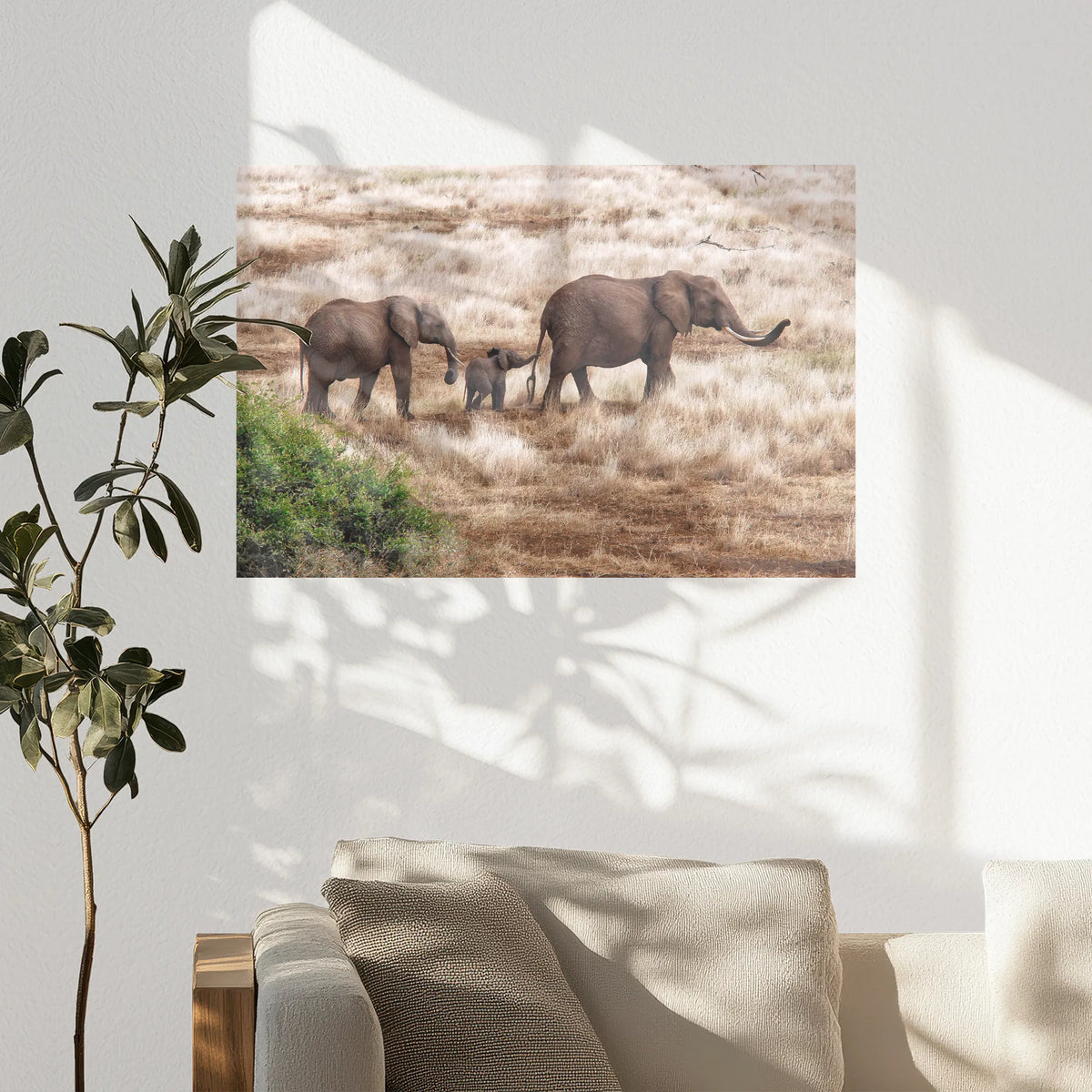 PO-075W050
