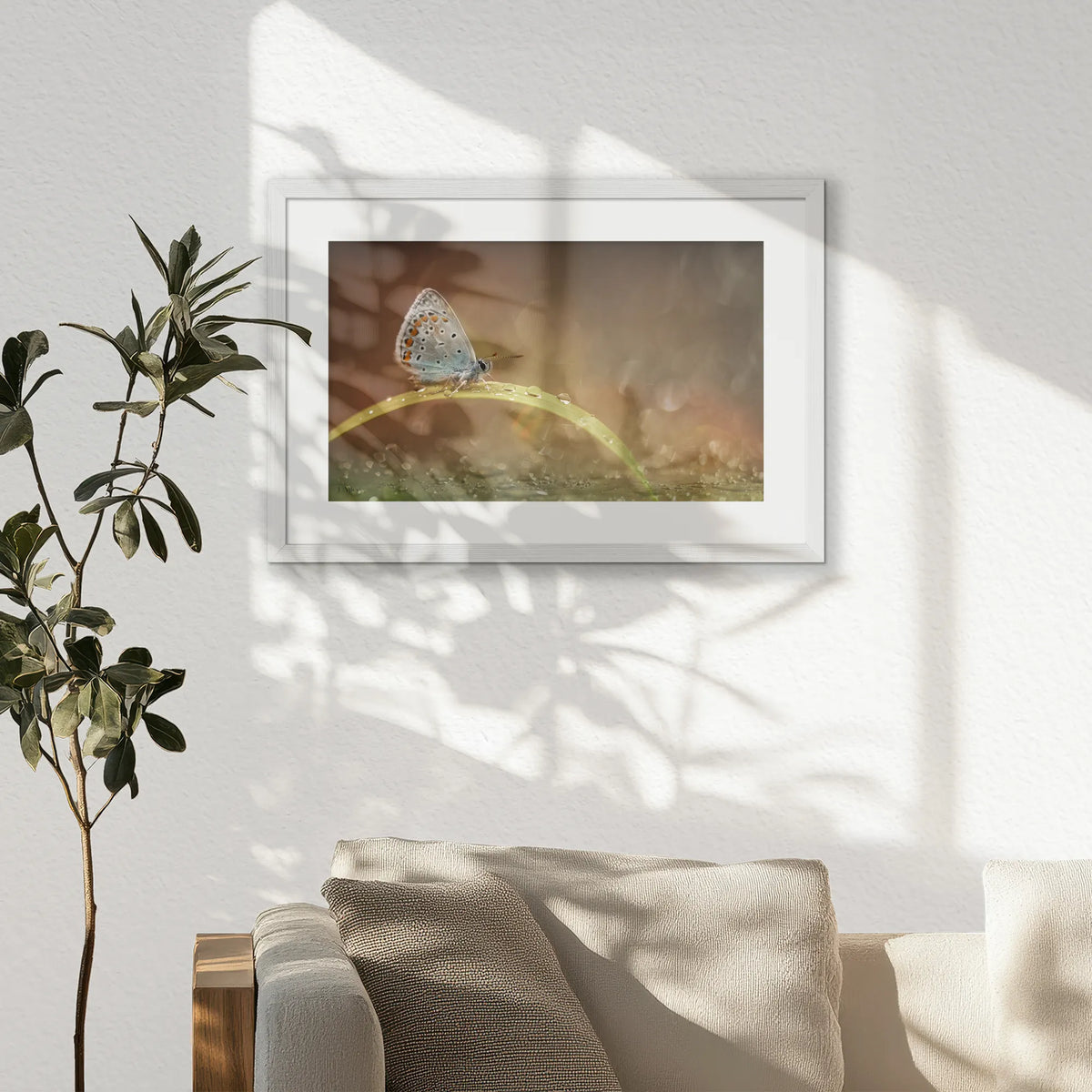 PWP060W040